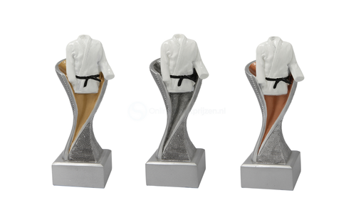Vechtsport Prijs - FG4050 - Zilver met Kleuraccent