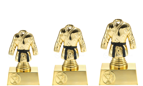 Vechtsportprijs - ST.024 - Goud