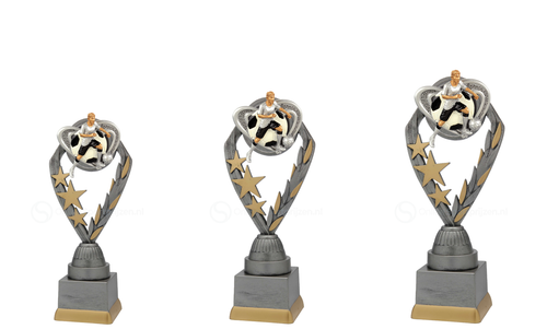 Voetbaltrofee - PFS.005 - Antiek Zilver met Kleuraccent