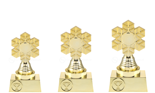 Wintersportprijs - ST.148 - Goud