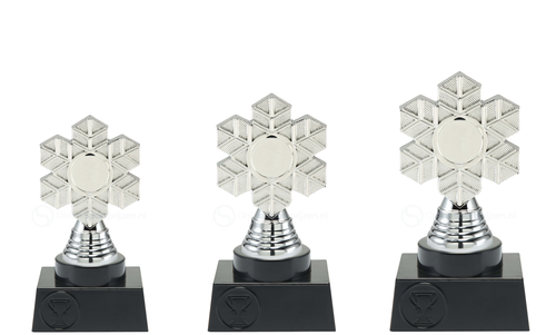 Wintersportprijs - ST.217 - Zilver