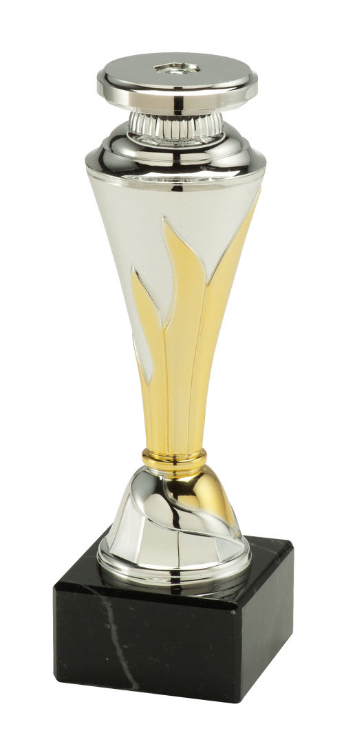 Sportbeker - X151-X153 - Zilver / Goud