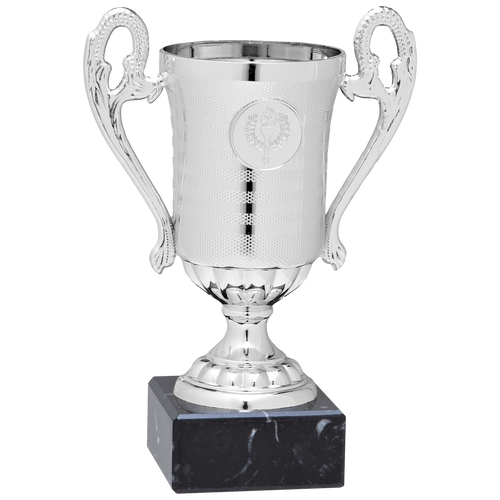 Zilveren Budget Trophy - ET.361 - Zilver