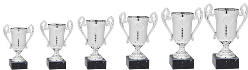 Zilveren Budget Trophy - ET.361 - Zilver