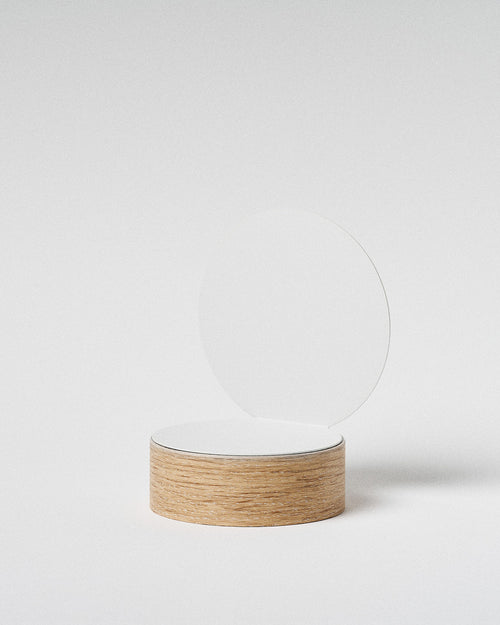 Sustain Awards - The Award - 12, 15 & 18 cm