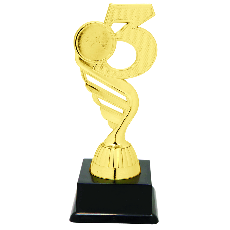 3e Prijs Trofee - SS1704 - Goud