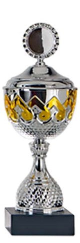 Trofee Hilversum - AK5280 - Zilver / Goud