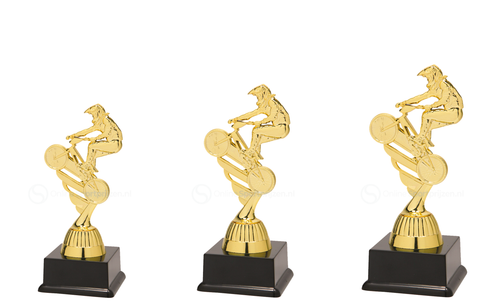 BMX-trofee - SS1812 - Goud