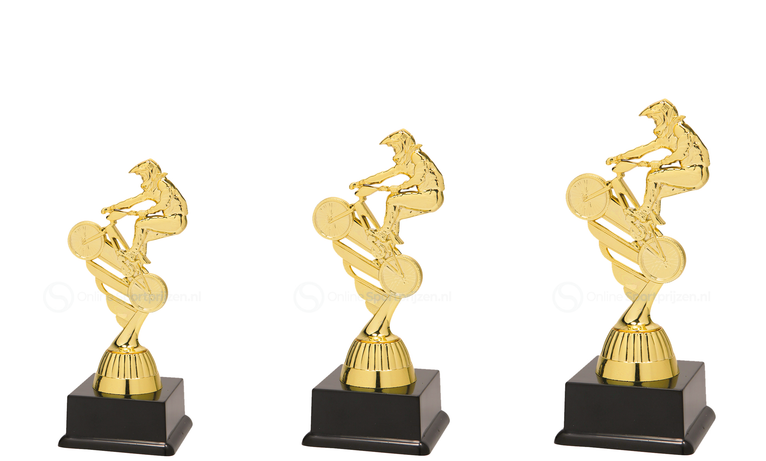 BMX-trofee - SS1812 - Goud