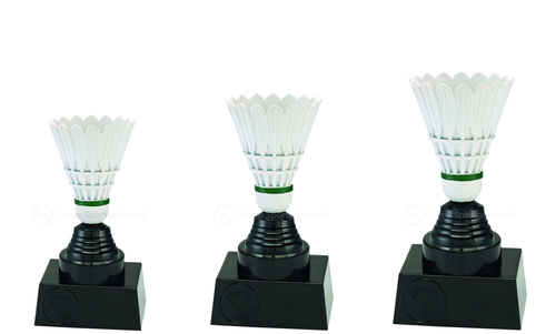 Badmintonprijs - SE2008 - Zilver