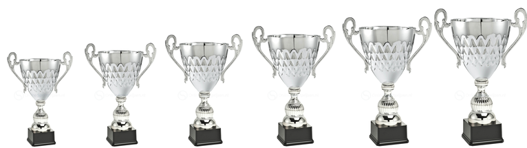 Bokaal Den Bosch - ML.035B - Zilver