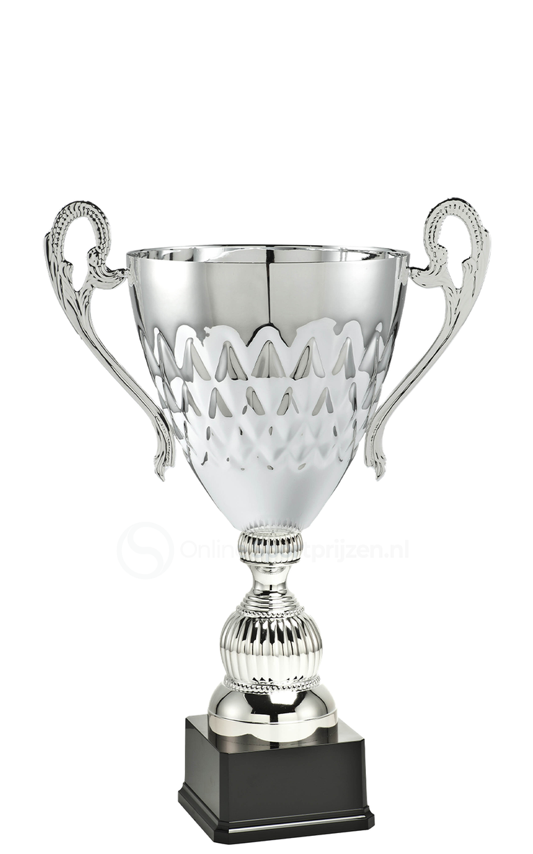 Bokaal Den Bosch - ML.035B - Zilver