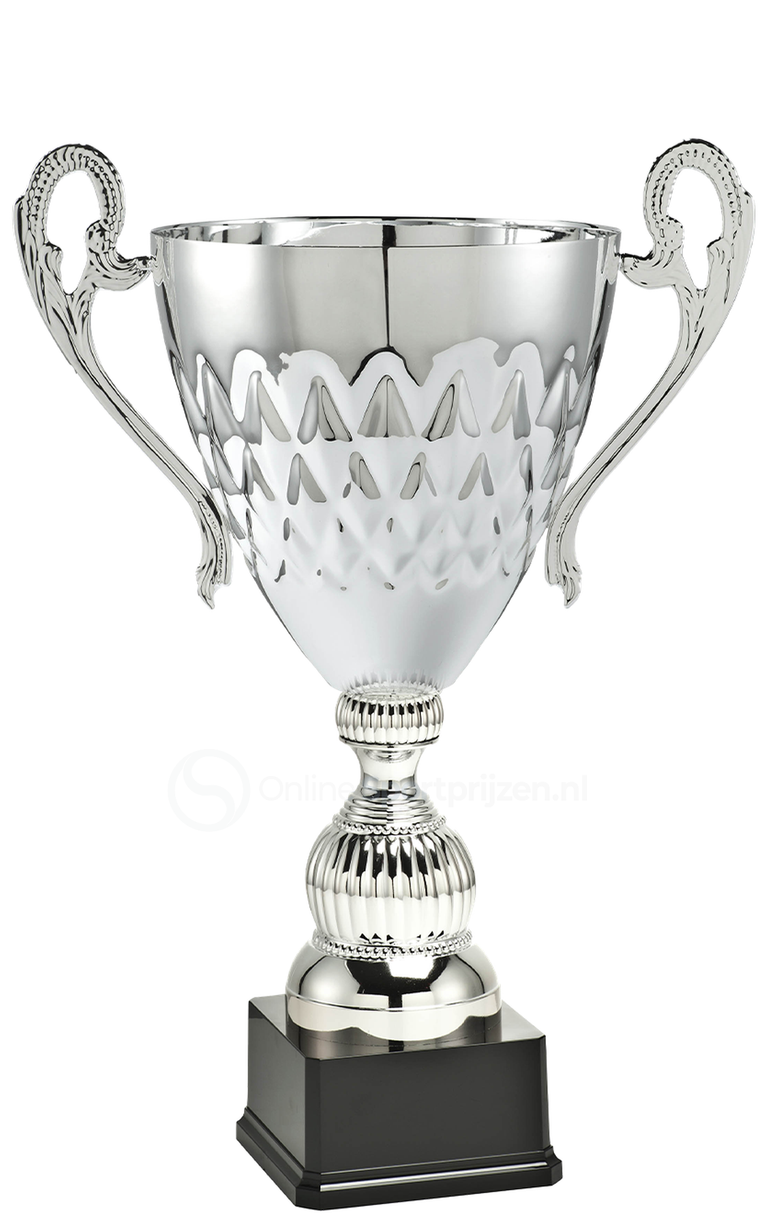 Bokaal Den Bosch - ML.035B - Zilver