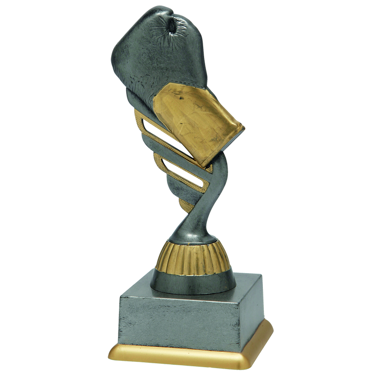 Bokstrofee - SS1829 - Antiek Zilver / Goud
