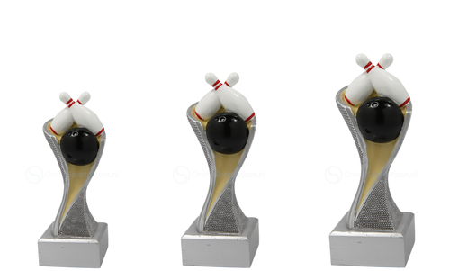 Bowling Prijs - FG4061-FG4063 - Zilver met Kleuraccent