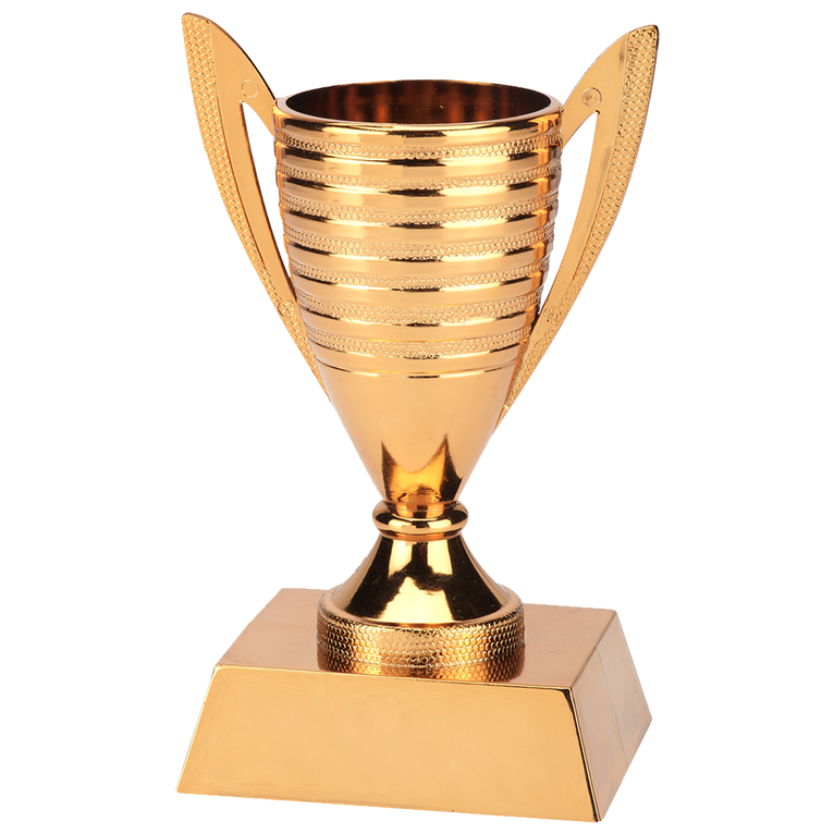 Budget Bokaaltje - X610 - Goud, Zilver en Brons