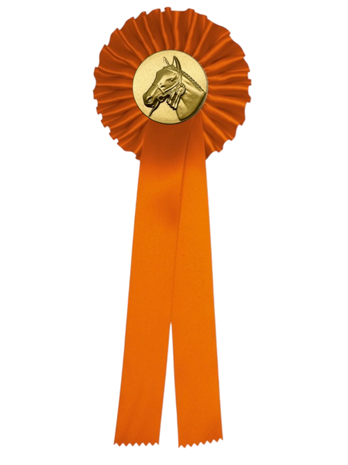 1-Rings Budget Rozet Paardensport - R1B