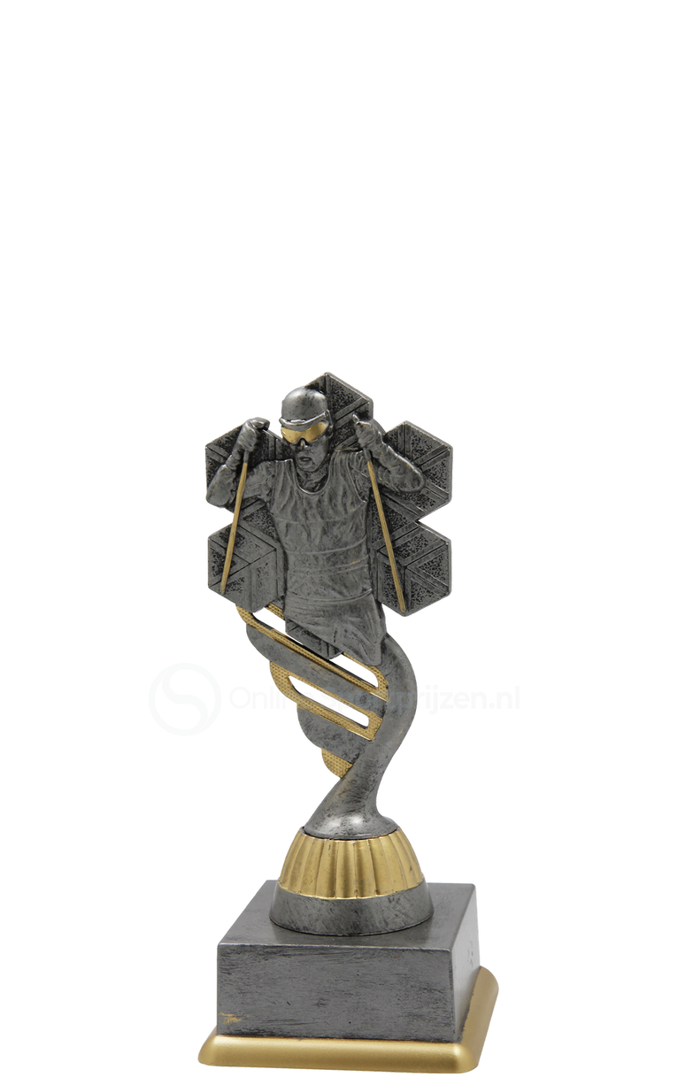 Cross Country trofee - SS1753 - Antiek Zilver / Goud