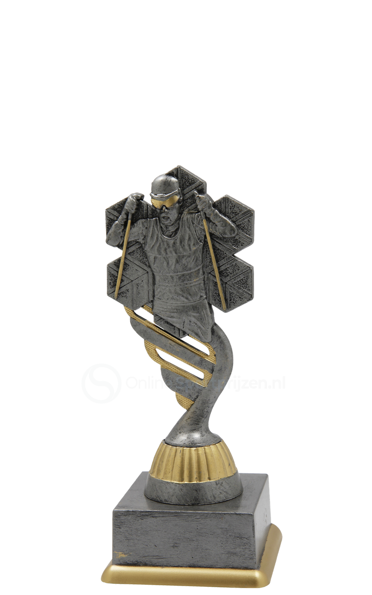 Cross Country trofee - SS1753 - Antiek Zilver / Goud
