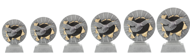 Duivensport Prijs - RE.072 - Antiek Zilver met Kleuraccent
