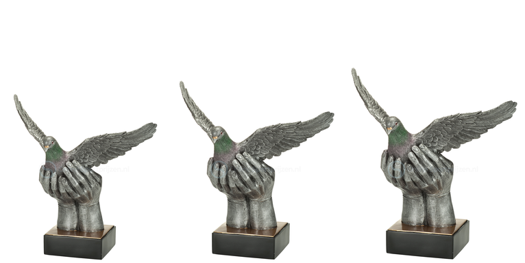 Duivensport Prijs - RE.112 - Antiek Zilver met Kleuraccent