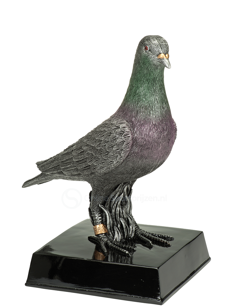 Duivensport Prijs - RE.111 - Antiek Zilver met Kleuraccent
