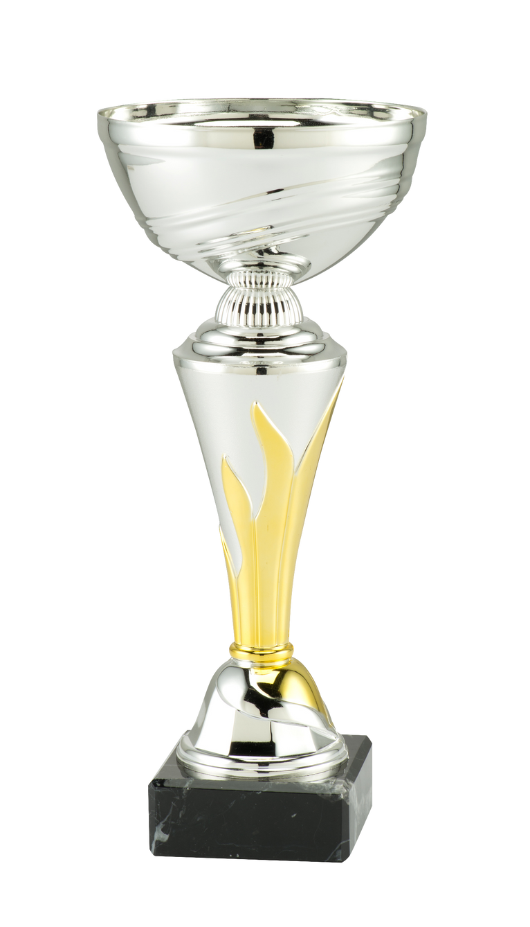 Trofee Soest - ET.206B - Zilver / Goud