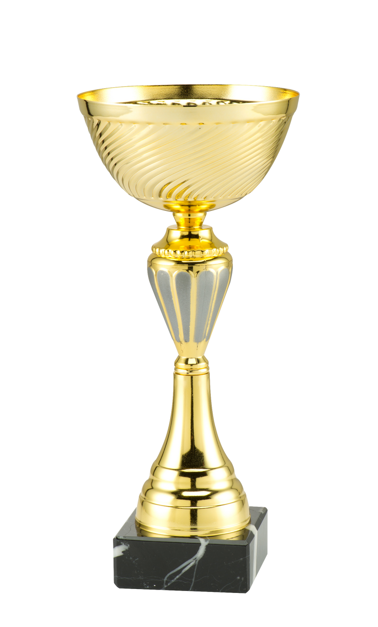 Toernooi Trofee Uden - ET.280C - Goud / Zilver