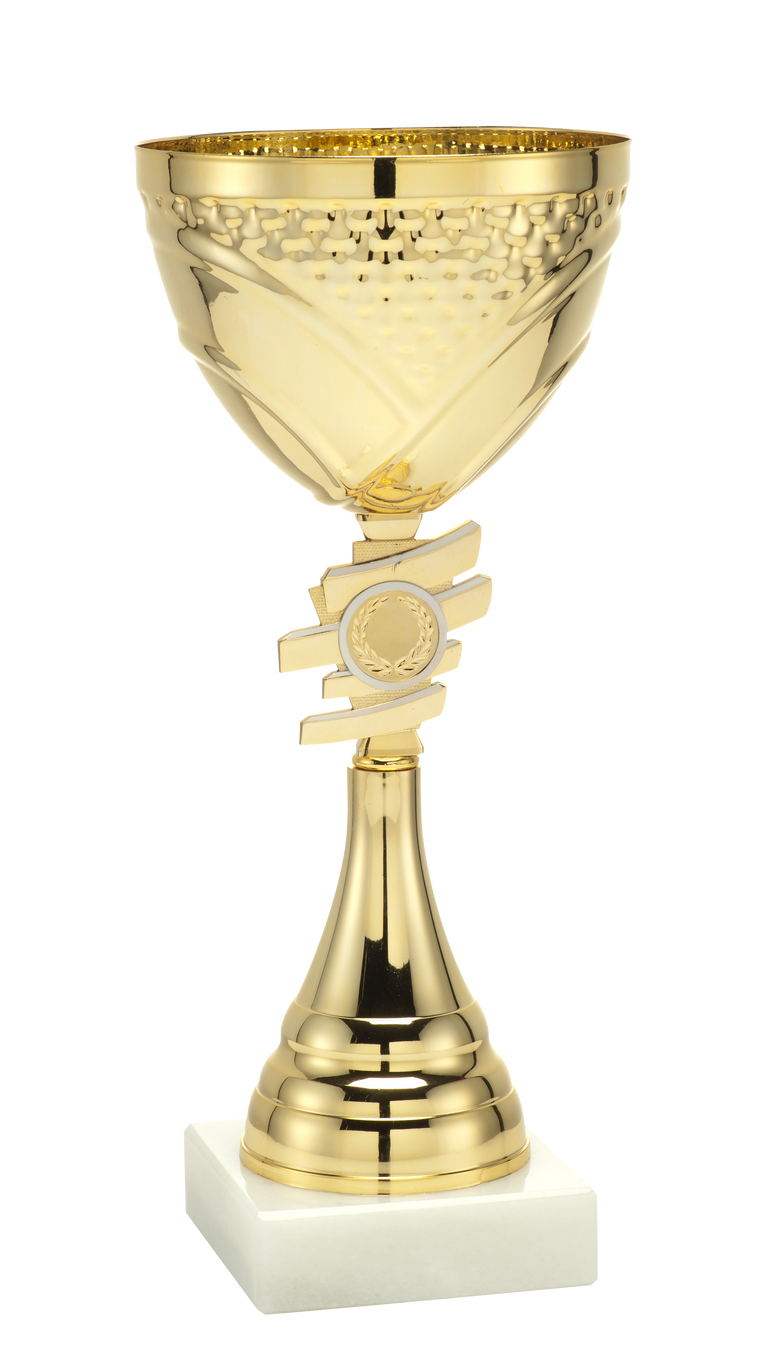 Toernooi Trofee Almelo - ET.320 - Goud