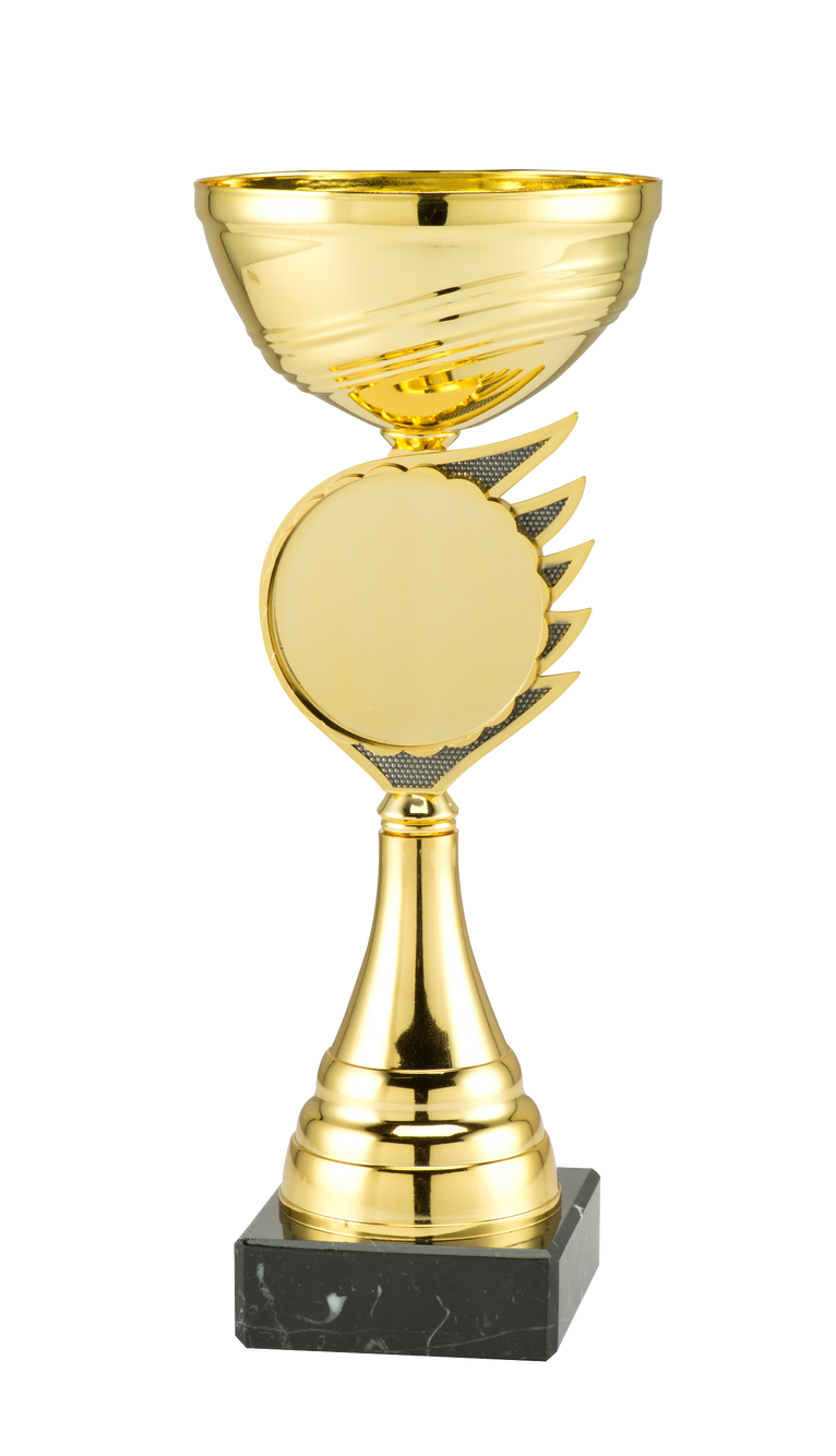 Gouden Blaze Disc Trofee Rotterdam - ET.407C - Goud