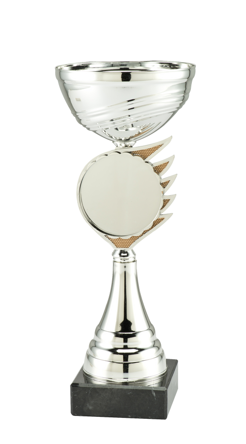 Zilveren Blaze Disc Trofee Rotterdam - ET.408C - Zilver