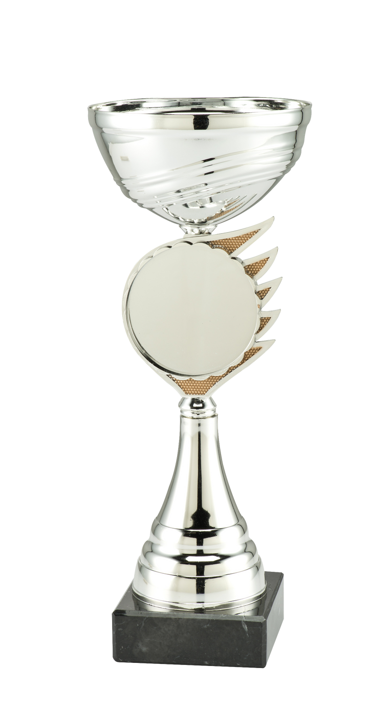 Zilveren Blaze Disc Trofee Rotterdam - ET.408C - Zilver