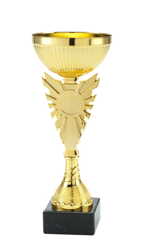 Gouden Sportbeker Amsterdam - ET.425 - Goud