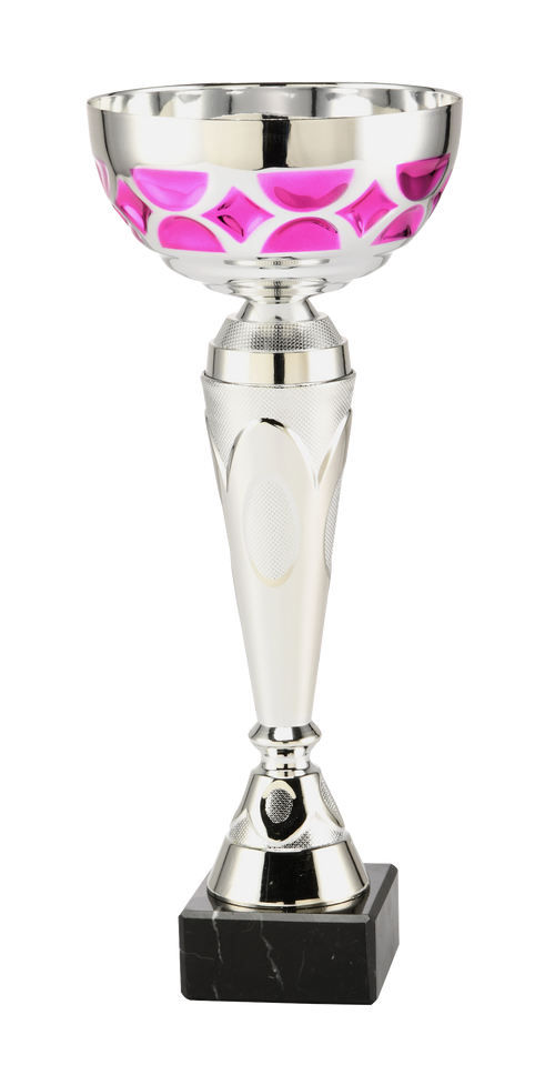 Trofee Dokkum - ET.437 - Zilver / Roze
