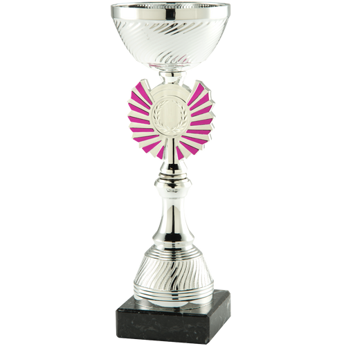 Trofee Dronten - ET.460.152 - Zilver / Roze
