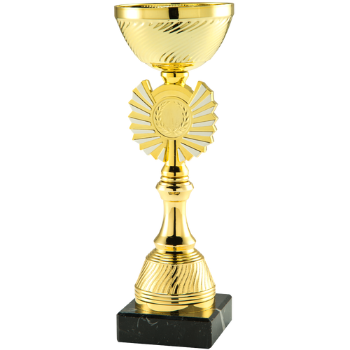 Trofee Rijssen - ET.460.58 - Goud / Zilver