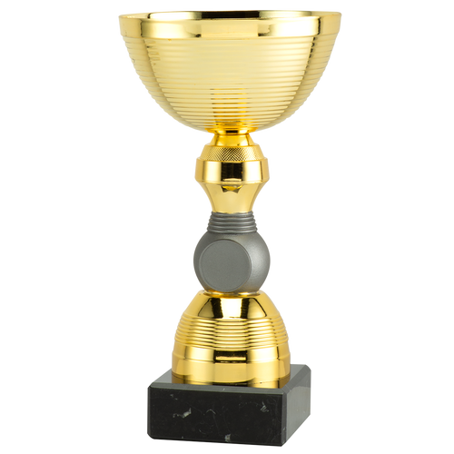 Trofee Duiven - ET.470.58 - Goud / Mat Zilver