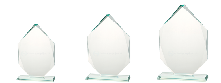 Glazen Award In Geschenkdoos - GL.049
