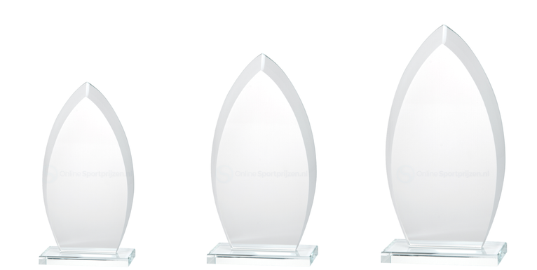 Glazen Award in Geschenkdoos - W321-W323