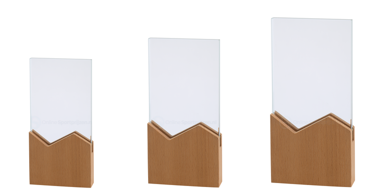 Glazen Award met Houten Accent in Geschenkdoos - W801-W803