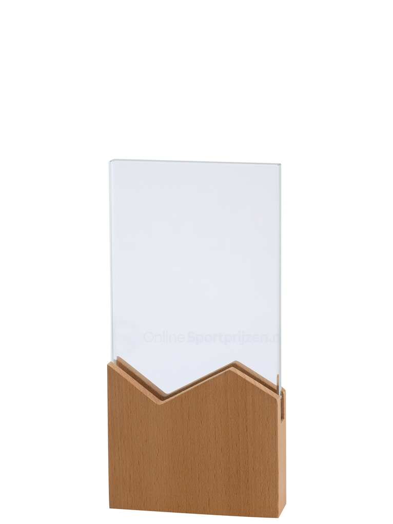 Glazen Award met Houten Accent in Geschenkdoos - W801-W803
