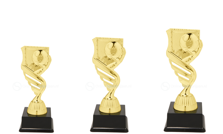 Handbaltrofee - SS1716 - Goud