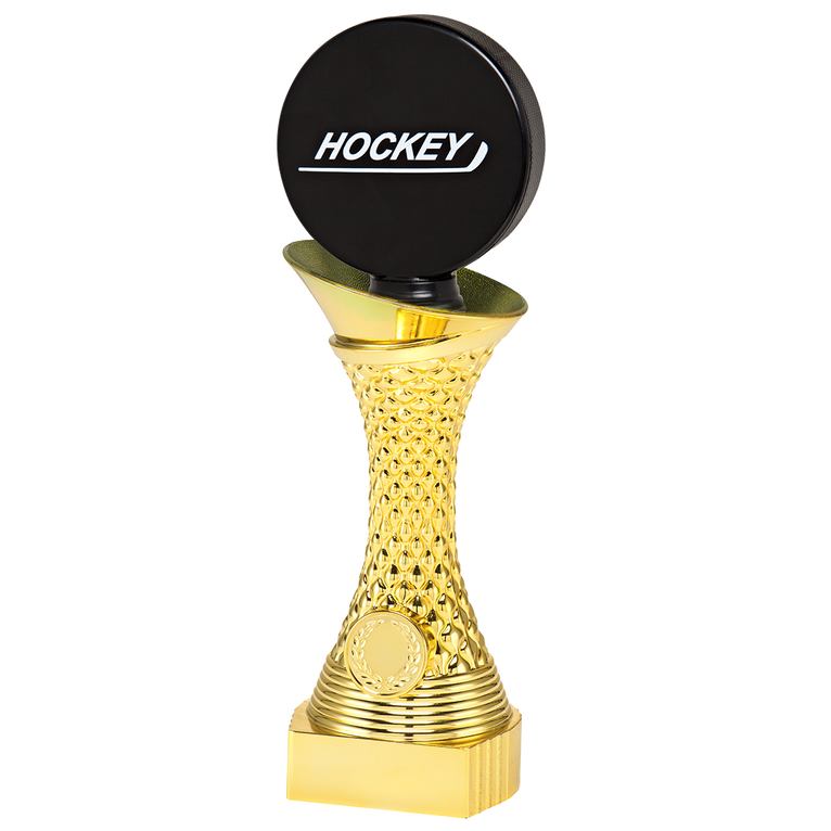 IJshockeytrofee - ST.048 - Goud