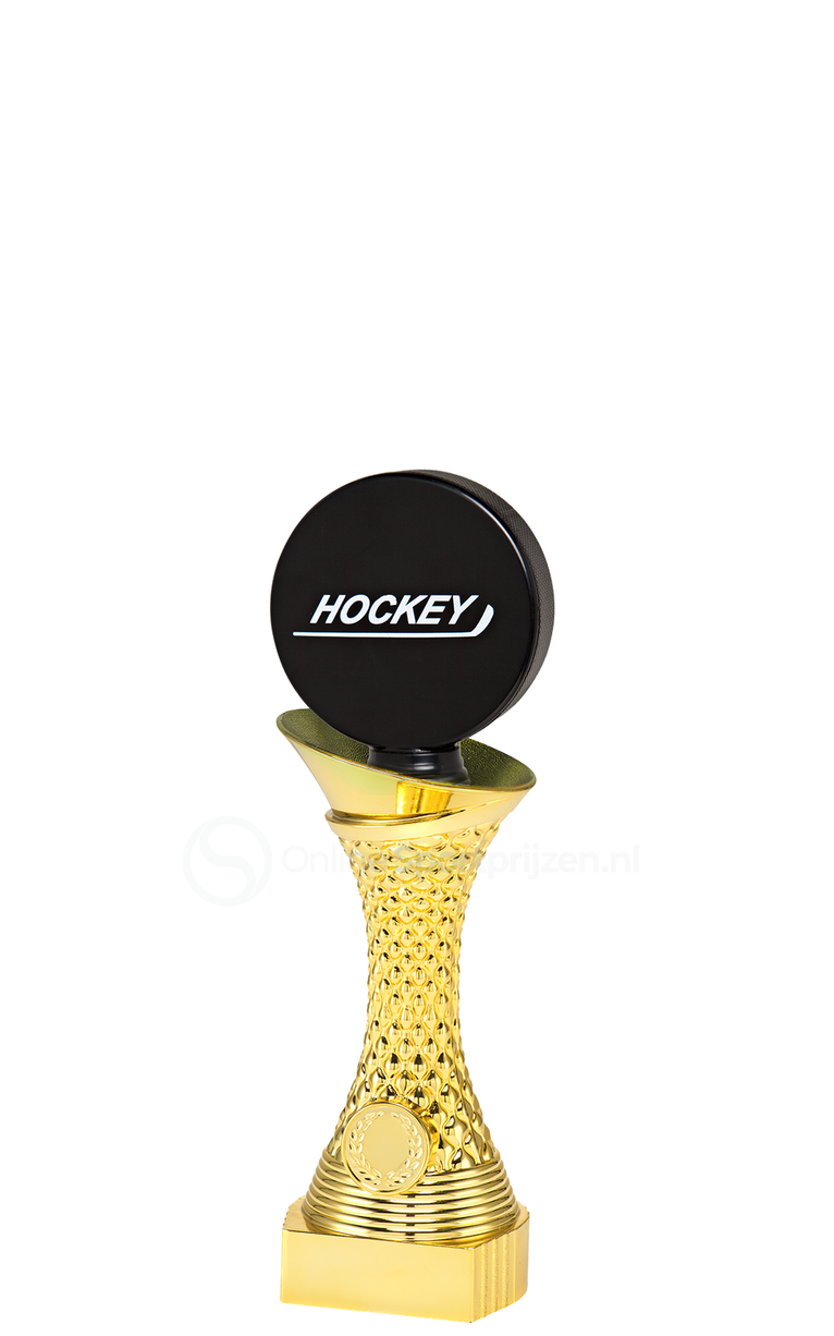 IJshockeytrofee - ST.048 - Goud