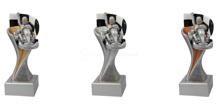 Karting Prijs - FG4110 - Zilver met Kleuraccent