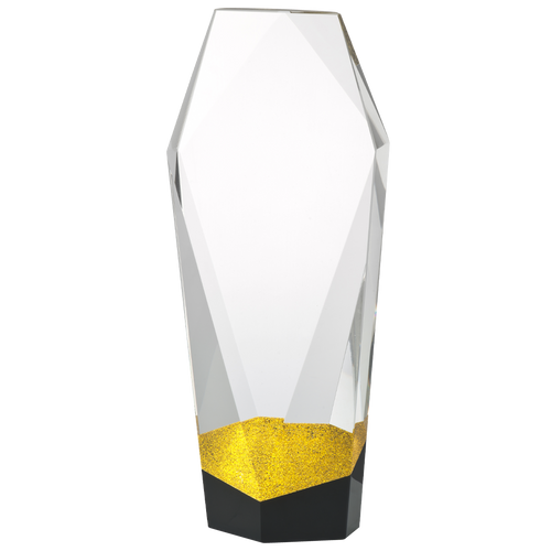 Luxe Kristal Glazen Award met Plaatsingkleur Detail in Geschenkdoos - W690