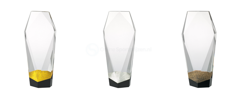 Luxe Kristal Glazen Award met Plaatsingkleur Detail in Geschenkdoos - W690