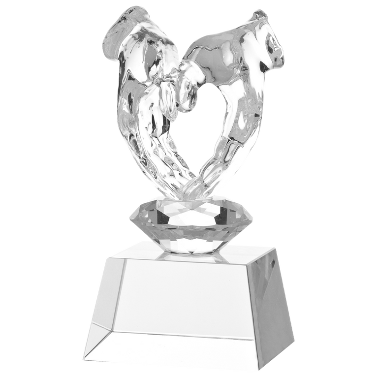 Luxe Kristal Glazen Award met Twee Handen in Geschenkdoos - W626