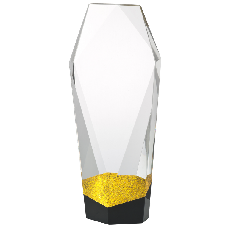 Luxe Kristal Glazen Award met Plaatsingkleur Detail in Geschenkdoos - W690