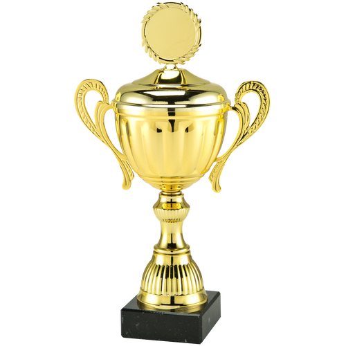 Trofee Vilvoorde - MT.142 - Goud